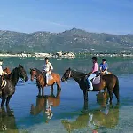 Dettori San Teodoro (Sardinia)