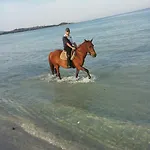 Dettori 3*