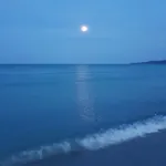 Dettori San Teodoro (Sardinia)
