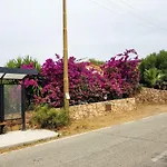 Dettori San Teodoro (Sardinia)
