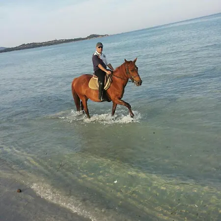 Dettori *