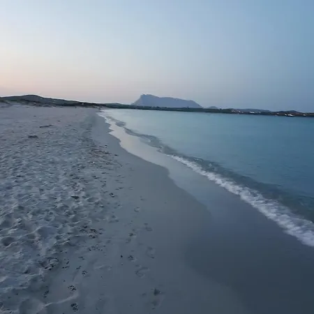 Dettori * San Teodoro (Sardinia)