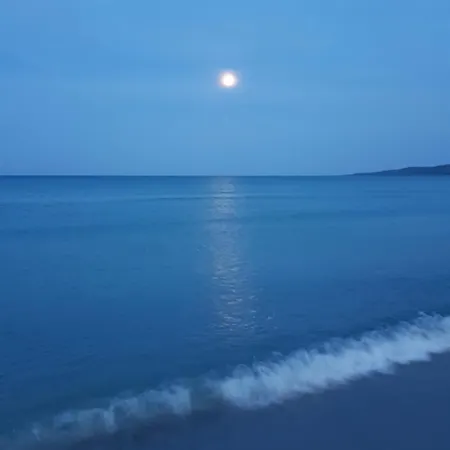 Dettori San Teodoro (Sardinia)