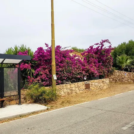 Dettori San Teodoro (Sardinia)