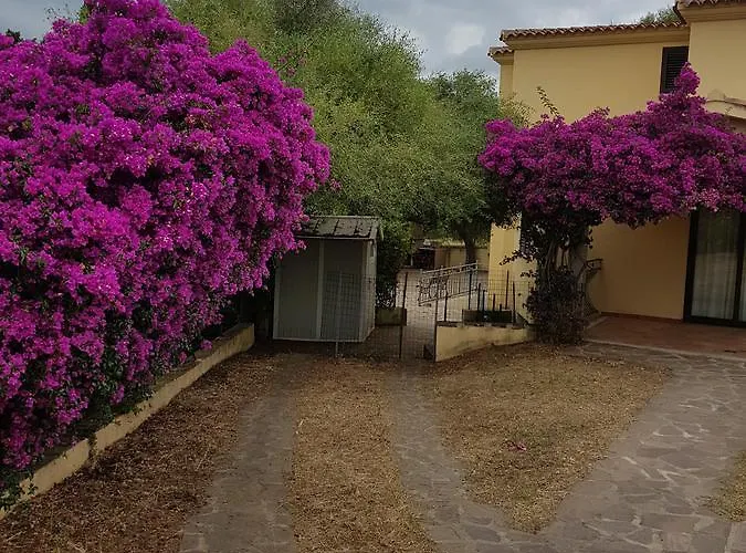 招待所 Dettori 3*