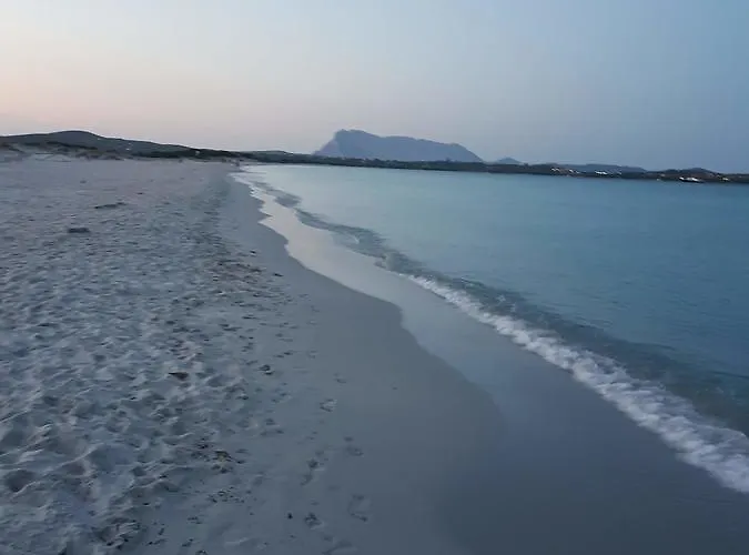 Dettori 3* 圣特奥多罗