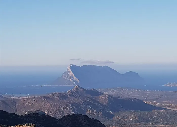 招待所 Dettori 3*