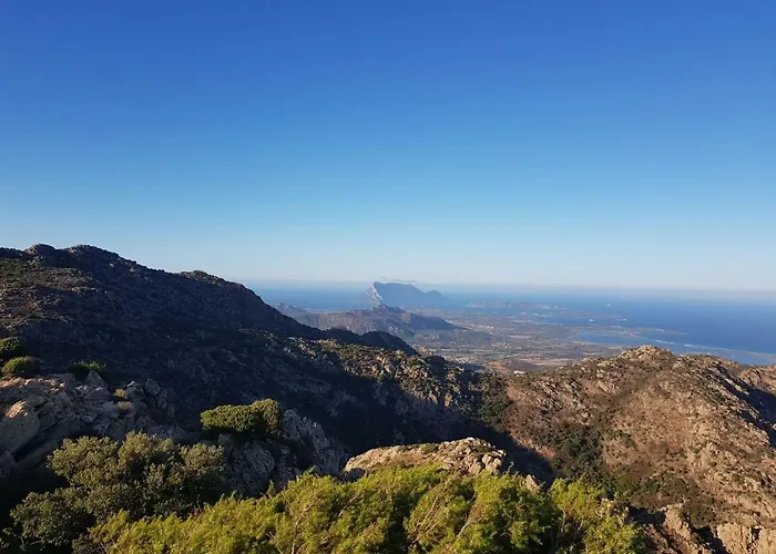 Dettori 招待所 3*