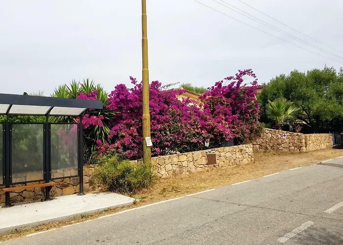 Dettori 圣特奥多罗